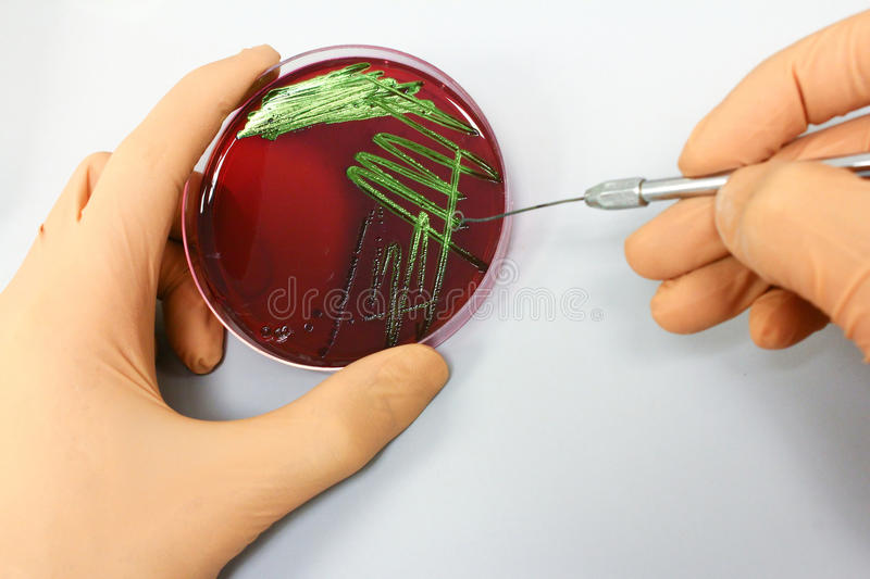 MICROBIO